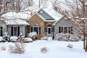 winterdrab